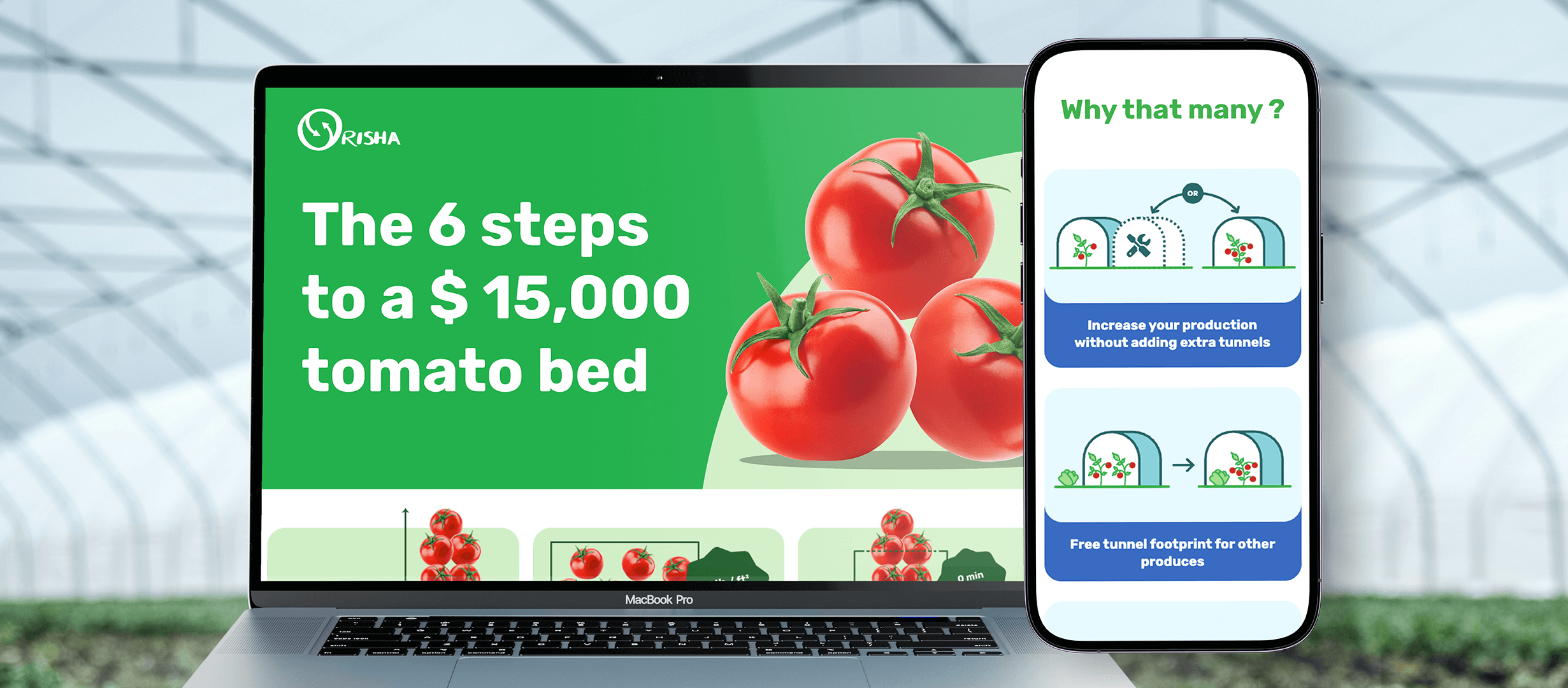 Mockup page Web - Orisha